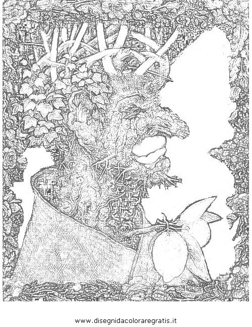 Disegno Arcimboldo 2 misti da colorare